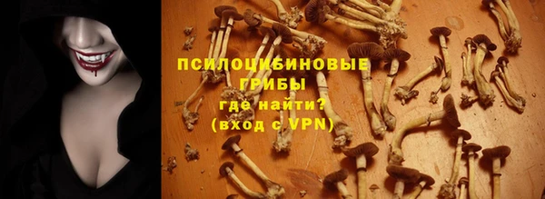 альфа пвп Коряжма