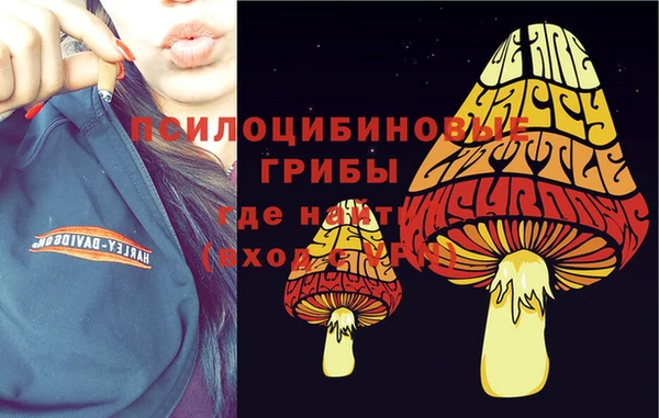 apvp Коряжма