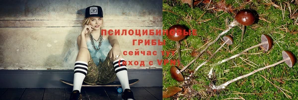 альфа пвп Коряжма