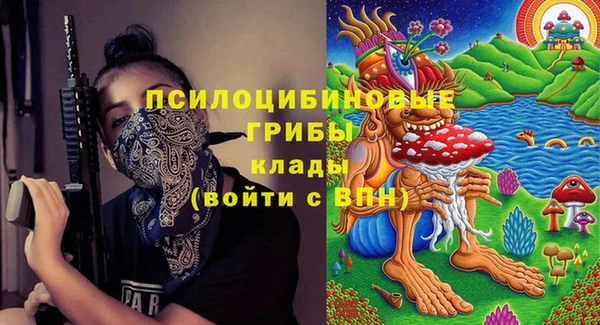 прущий лед Корсаков