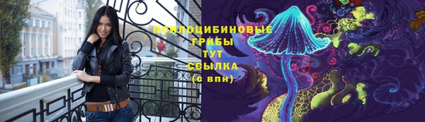 Альфа ПВП Корсаков