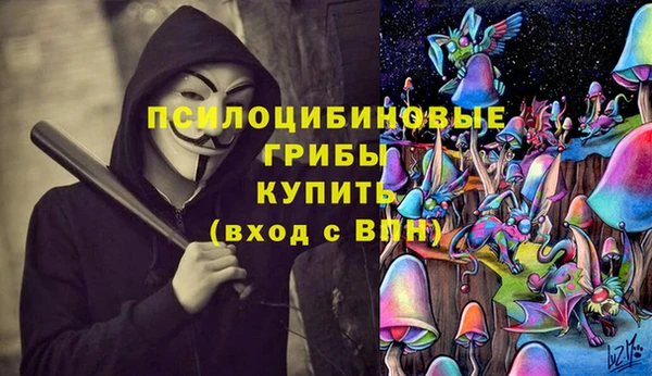 альфа пвп Коряжма